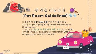 daegu seongseo hotel the stay romantic