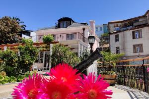 ayca la flora hotel boutique