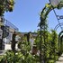 ayca la flora hotel boutique