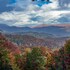 beary patch hill