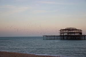 brighton