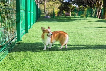 springs village tanzawa spa resort