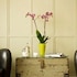 brooks guesthouse bristol