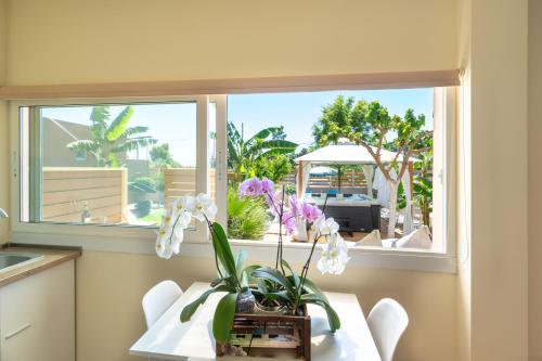 modular bungalows with heated pool artemis greece