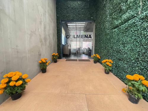 colmena