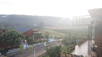 the eco tropicana garden