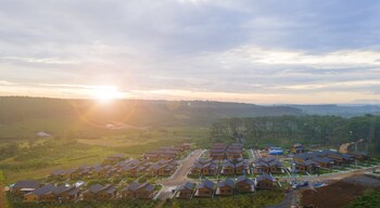 the eco tropicana garden