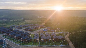 the eco tropicana garden