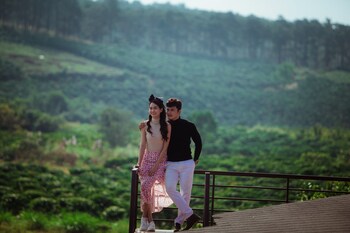 the eco tropicana garden