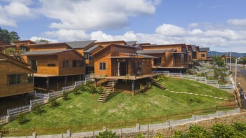 the eco tropicana garden
