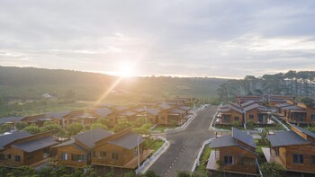 the eco tropicana garden
