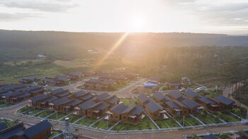 the eco tropicana garden