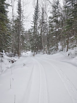 estonia hebergement nature