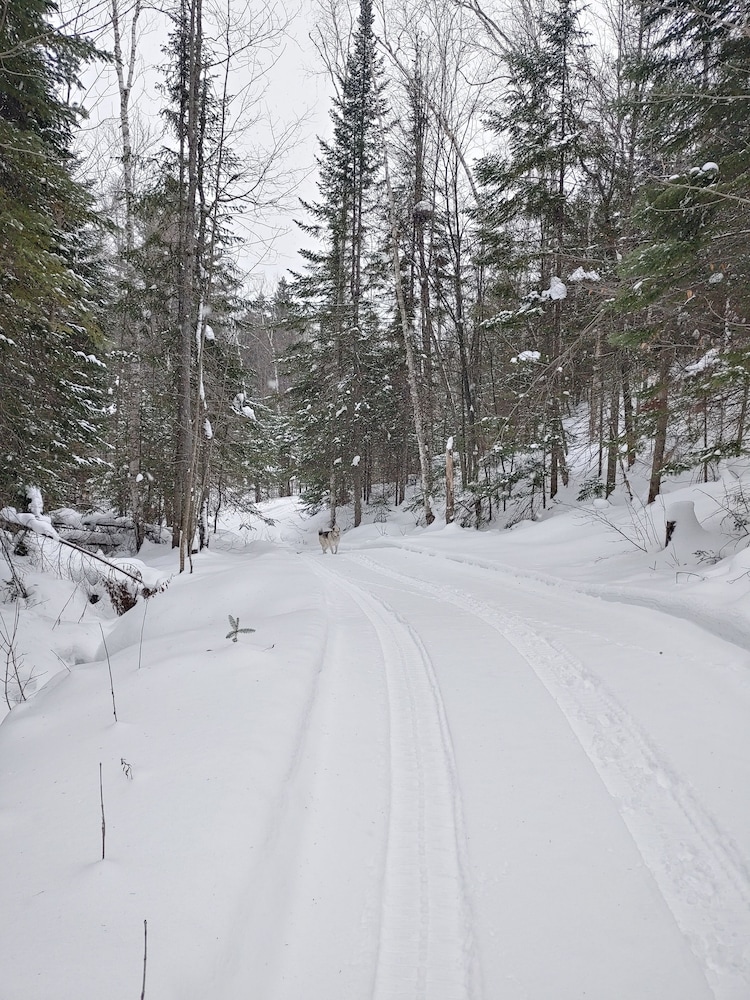 estonia hebergement nature