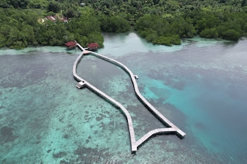 vogelkopf dive resort