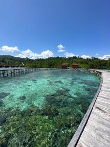vogelkopf dive resort