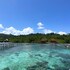 vogelkopf dive resort