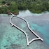 vogelkopf dive resort
