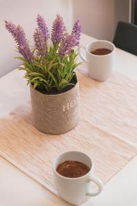 sueno luxury apartments