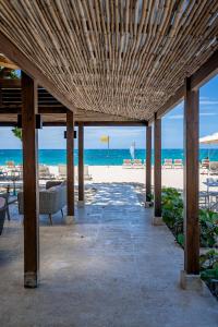 xeliter green one playa dorada