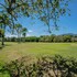 xeliter green one playa dorada