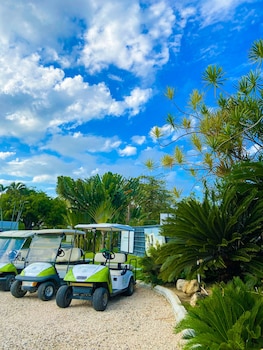 xeliter green one playa dorada