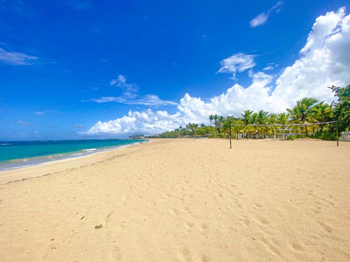 xeliter green one playa dorada