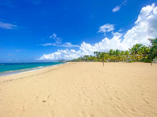 xeliter green one playa dorada