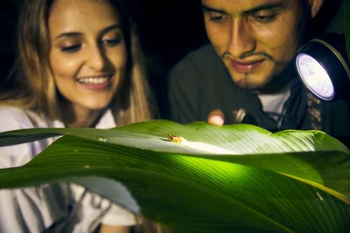 la banda de shilcayo