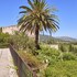 finca son cladera