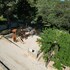 finca son cladera