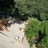 finca son cladera