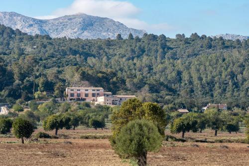 finca son cladera