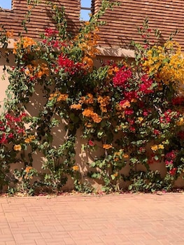 la perla de marrakech