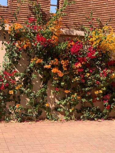 la perla de marrakech