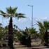 la perla de marrakech