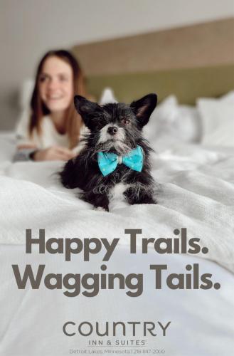 country inn and suites by radisson detroit lakes mn