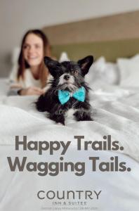 country inn and suites by radisson detroit lakes mn