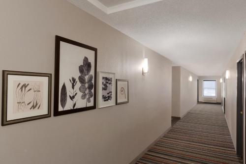 country inn and suites by radisson chippewa falls wi