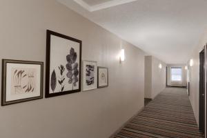 country inn and suites by radisson chippewa falls wi