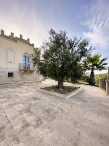 borgo vita novella