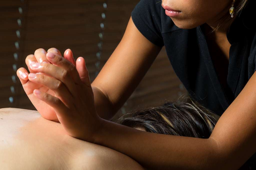 golden tulip aix les bains