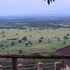 rift valley game lodge