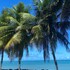 flatssolemar