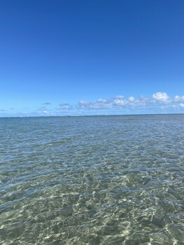 flatssolemar