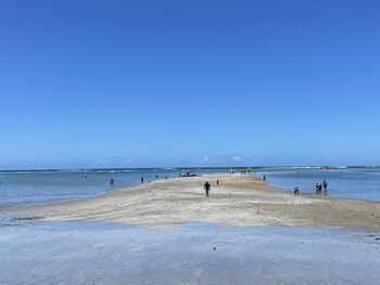 flatssolemar