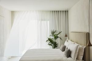domes miramare a luxury collection resort corfu adults only