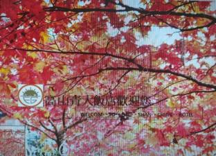 gau shan ching hotel