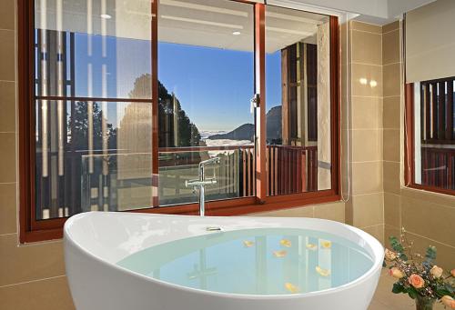 alishan hotel