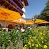 hotel schwarzer adler